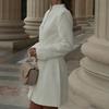 Women's Stand Collar Long Sleeve High Waist Solid Elegant A-Line Mini Dress