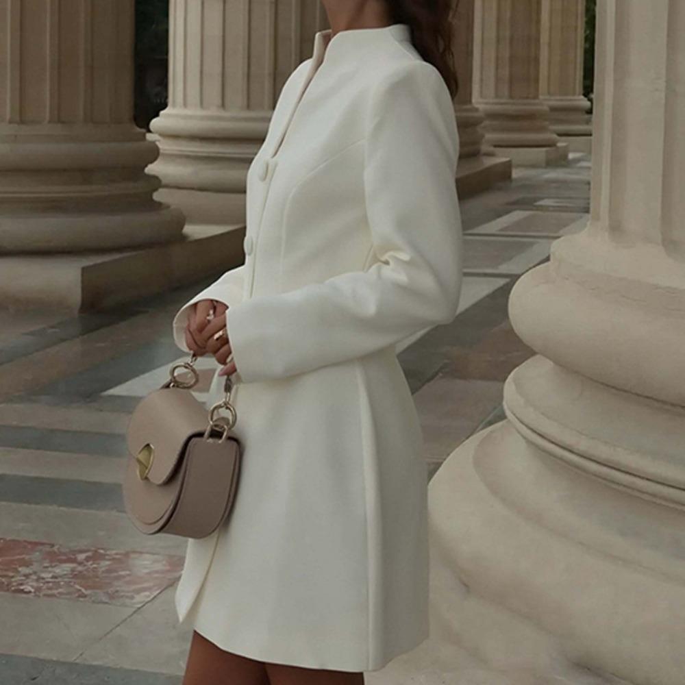 Women's Stand Collar Long Sleeve High Waist Solid Elegant A-Line Mini Dress