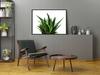 Picture Poster In a Frame 53x73 Cm Leaves P1126
