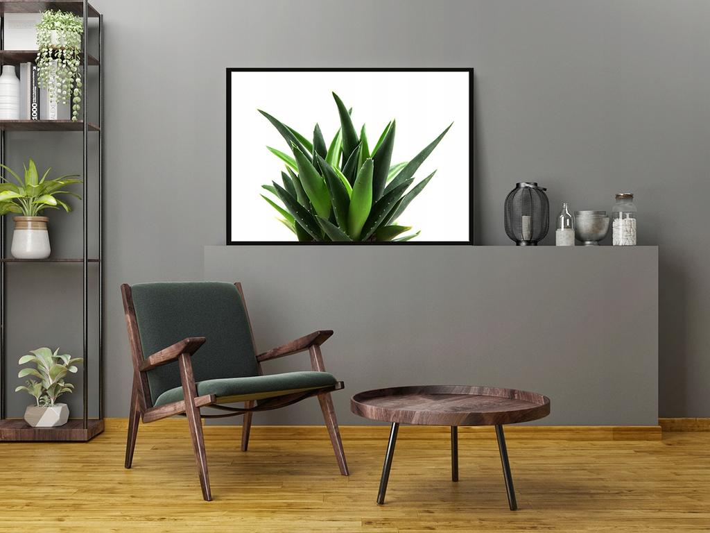 Picture Poster In a Frame 53x73 Cm Leaves P1126