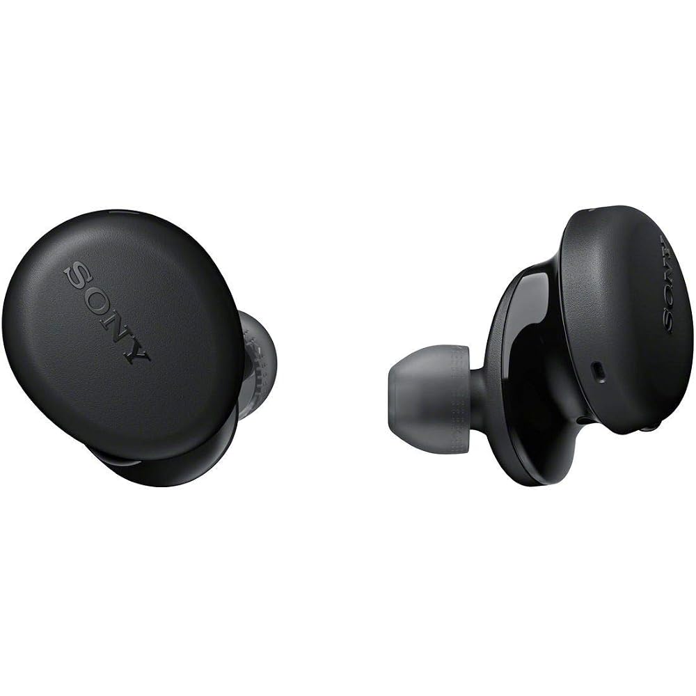 Sony WF-XB700 True Wireless Earphones: Deep Bass Model / Up To 9 Hours Continuous Playback / Built-in Microphone / 2020 Model / 360 Reality Audio Cert