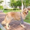 Soft Dog Elbow Sleeves Cartoon Pattern Pet Knee Pads Practical Dog Elbow Protector  for Elbow Brace