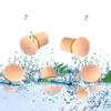 6 Pcs Replace Sponges Of Dual Ended Blooming Nail Pen Drawing And Dotting Nail Polish