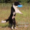 Dog Frisbee Training & Boredom Relief Toy, Food-Grade Silicone Pet Supplies