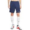 Nike Sports Shorts Men's Ink Blue BV6856-410