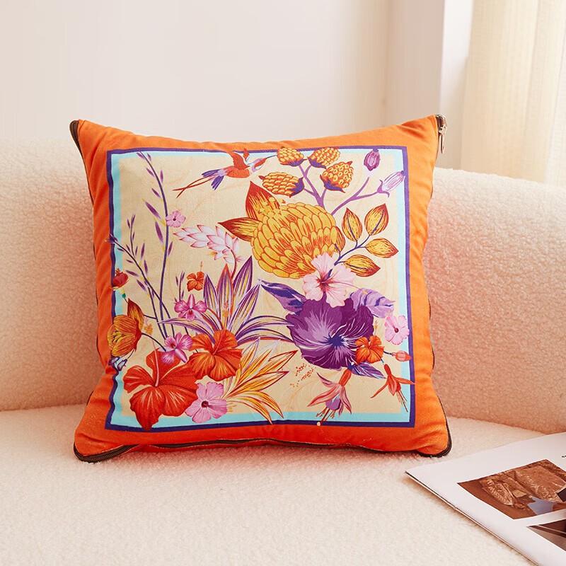 ZMN French Woodpecker Decorative Pillow Blanket