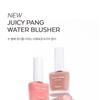 A'PIEU - Juicy-Pang Water Blusher #CR02 Persimmon Bundle Set