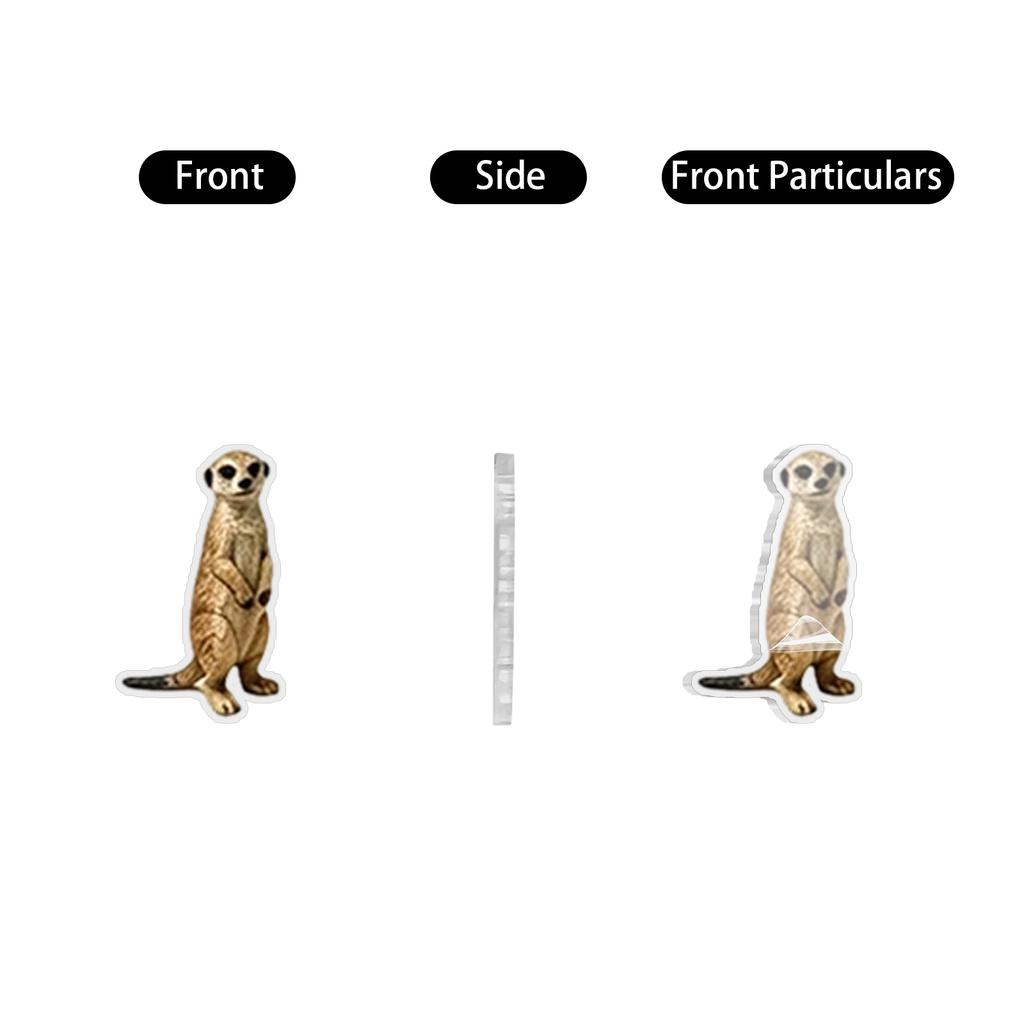 Pack 2D Flat Acrylic, Collectible Gift for Kids, Teens and Adults