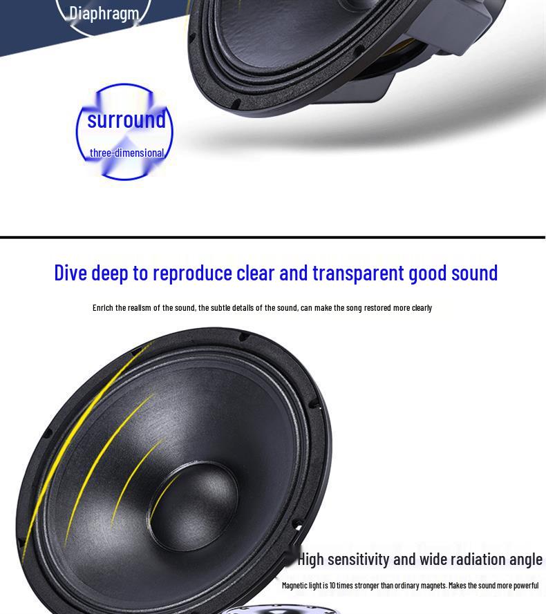 6.5-21 inch High-Power Mid-Bass Pro Stage Speaker with Neodymium Magnet