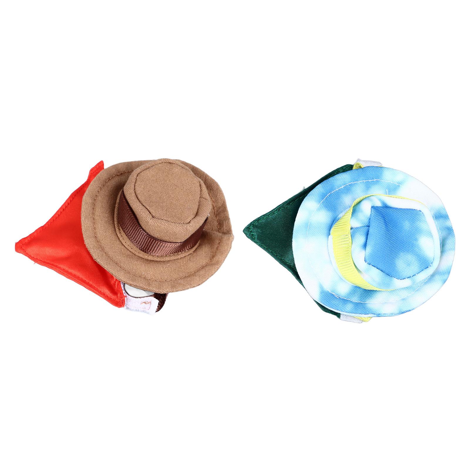 Костюм рептилии на Хэллоуин в виде ковбойской шляпы и банданы с бородатым драконом — фото 6