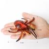 Realistic Prehistoric Sea Creatures Animal Figurines Baculite,Opabinia,Crab,Mantis Shrimp Educational Marine Animal Mode Figures