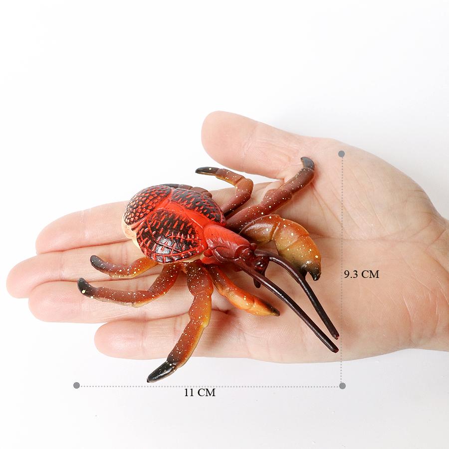 Realistic Prehistoric Sea Creatures Animal Figurines Baculite,Opabinia,Crab,Mantis Shrimp Educational Marine Animal Mode Figures