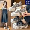Guofeng Chinese Canvas Shoes Women's Platform New Printing Embroidery Lace-up Versatile Casual Shoes Platform