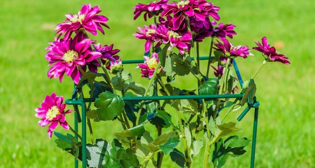 KADAX Floral Support Plant Flower Clip 80 Cm