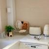 Thickened Dish Drying Rack Rustless Steel Tableware Organizer  Sundries Arrangement