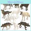 Wolf Wildlife Arctic Pvc Figurine Models For Collectors And Nature Decor Scene