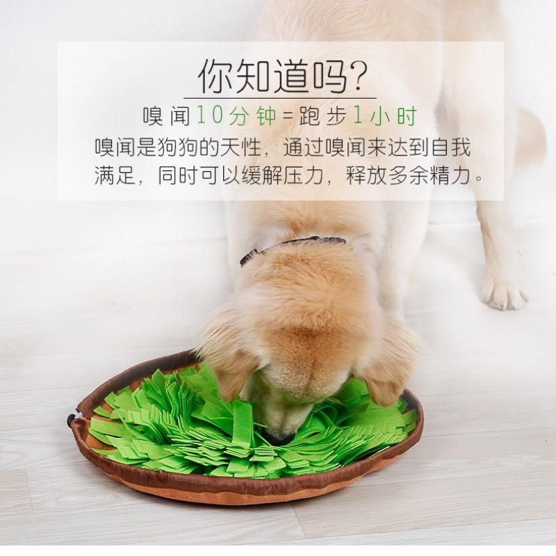 Interactive Snuffle Mat Dogs Training Puzzle Toy Pet Feeding Sensory Enrichment