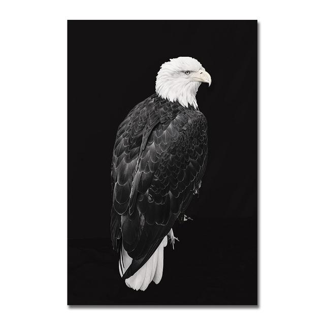 Animal Canvas Poster Printing Black Lion Zebra Dog Painting Modern Art Decoration Living Room Wall Painter