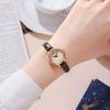 New Ladies Watch Simple Women's Watches Thin Belt Temperament Retro Student Watch Fashion Casual Ladies Quartz Wristwatches