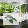 Betta Fish Leaf Pad Aquarium Decor,Fish Tank Decoration with Suction Cup Simulating Habitat for Resting Bed Sleeping Hiding