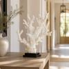 Coral Sculpture with Black Base Modern-Luxe Figurine Textured for Bookshelf