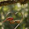 Metal Heart Shaped Outdoor Bird Feeder Hanging Garden Decorative Iron Frame Small Bird Feeding Station with Two Wooden Bowls