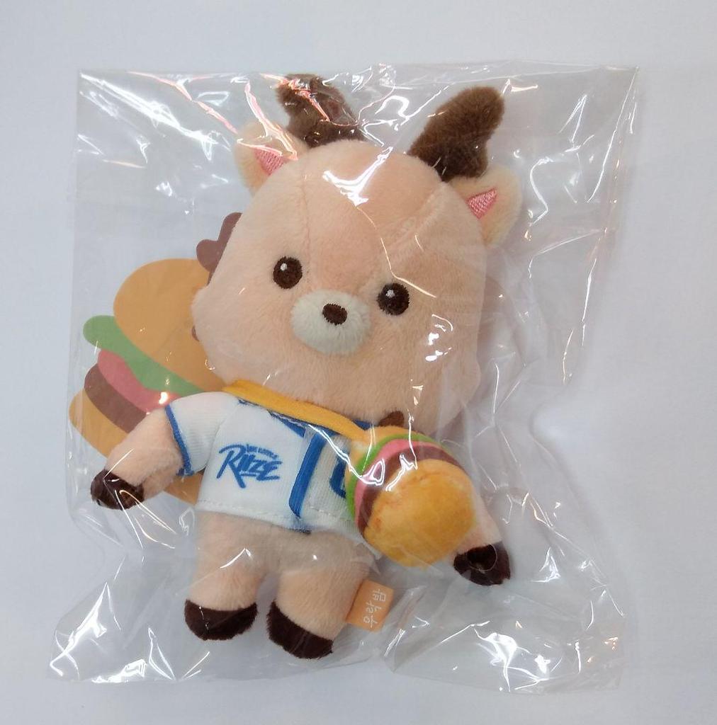 [USED] RIIZE Songchan WE LITTLE RIIZE Doll Key Ring