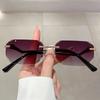 Punk Rimless Vintage Square Sunglasses Women For Men Luxury Brand Designer Sun Glasses Popular Outdoor Metal Leopard Eyeglasses