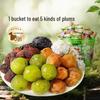 Baicaowei Assorted Preserved Fruits & Plum Snacks