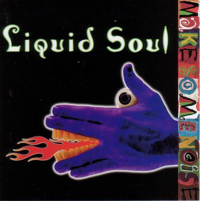 CD LIQUID SOUL  Make Some Noise  618681002123 Ark 21 Records 1998 Japan Rap  HipHopRB Used