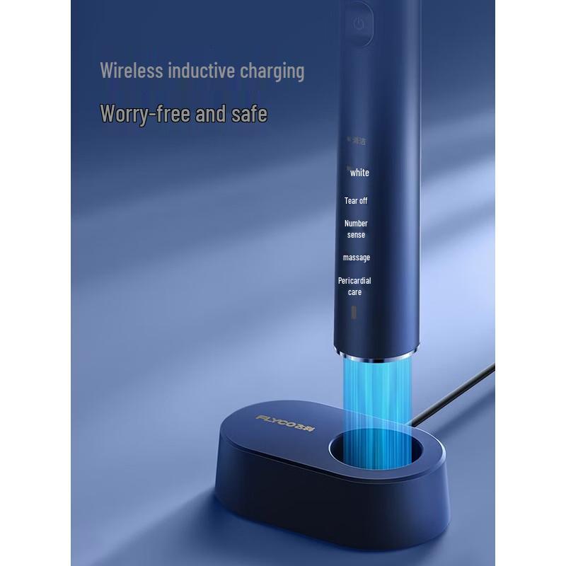 FLYCO FT7205 Smart Sonic Electric Toothbrush CN plug (adapter included)