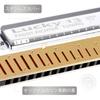 East Top Harmonica, 13-Hole Blues Harmonica In D, for Jazz Professionals, Adults, and Children, Study and Practice, Brass Cover, Canvas Case, Lucky13
