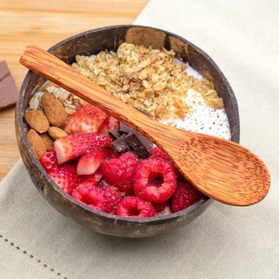 Natural Coconut Shell Bowl Coconut Bowl Light Food Container Fruit Salad Milkshake Dessert Bowl Southeast Asia Tableware Package