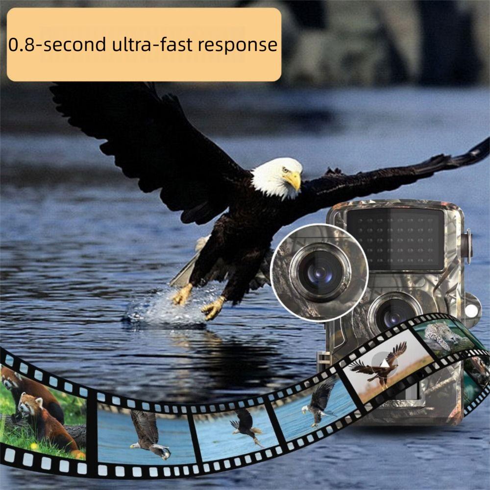 HD 1080P Video Infrared Night Vision Camera Wildlife Photo Traps  Garden Monitoring