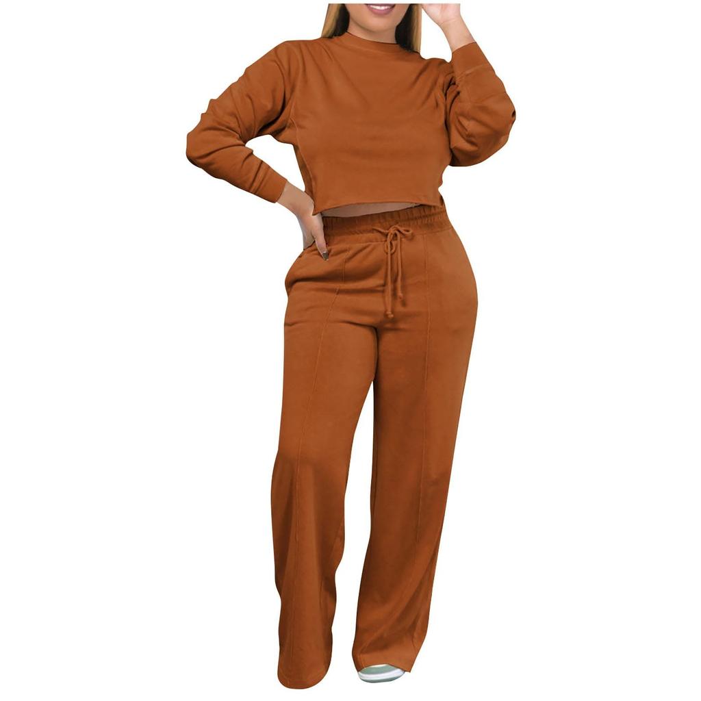 Women's Sportswear Casual Thick Color Two-piece Set Long Sleeved Sweatshirt Set