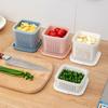 Double-layer Refrigerator Storage Box Ginger Scallion Onion Containers Sealed Fruits Vegetables Drain Crisper Kitchen Supplies