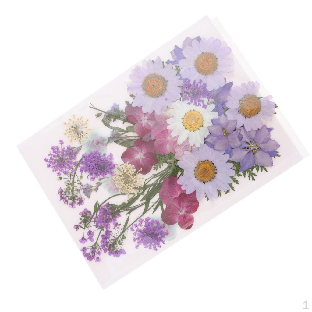 

Beautiful Real Dried Flowers for Resin Making Handmade Flower Phone Cas C