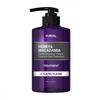 Kundal H M Kundal H M treatMent Ylang Ylang 500Ml
