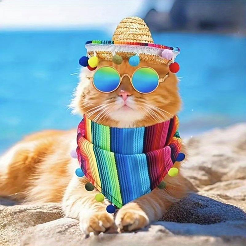2 Stück(1 Satz) Haustierhut Schal, Sabbertuch Veranda Weiße Gans Dekorative Mütze, Dekorative Quaste Gras Hut Gestreifter Dreiecksschal
