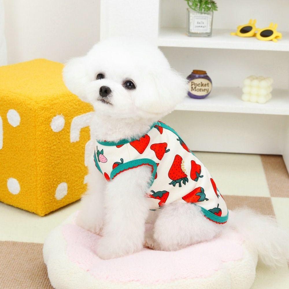 Cute Dog Clothes Thin Design Pet T-shirt Pet Clothing Pet Shirt Summer