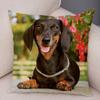 Mini Dackel Hund Kissenbezug Dekor Haustier Tier Kissenbezüge Superweicher Plüsch Kissenbezug für Sofa Zuhause Kinderzimmer 45x45cm