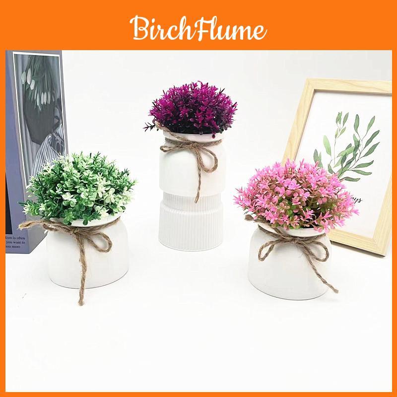 Plastic Veronicastrum Caulopterum Flower Pot With Rope Butterfly Tie For Home Decor And Garden Display