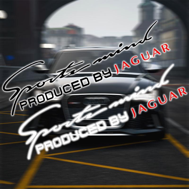 Decalque Decorador Sobrancelha Farol Dianteiro de Carro 3D Capô do Motor Design Esportivo Para Jaguar XF XJ XE S-Type F-Type X-Type F-Pace I-Pace E-Pace XFR XKR