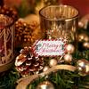500PCS Printed Vivid Tearable Tickets Colorful Christmas Raffle Coupon  Garden Party