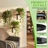 2/3Pcs Wall Plant Holder Set Metal Flower Pot Display Stand with Hook Rustproof Wall Storage Rack for Balcony Living Room Decor