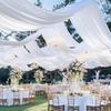 Accesorii de petrecere – Accesorii pentru ceremonii și petreceri