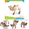 Animal Wildlife Pvc Model Single Hump Camel Decorative Toy For Kids Educational Gift