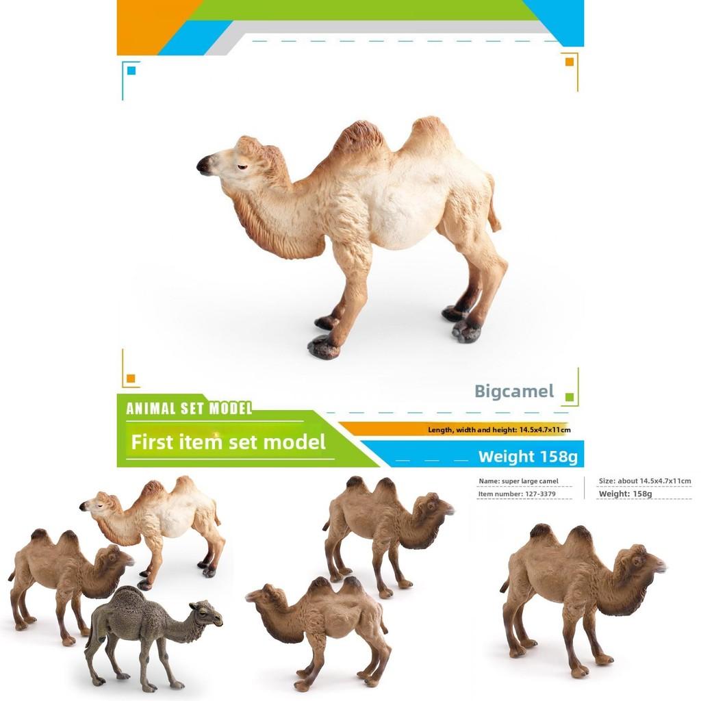 Animal Wildlife Pvc Model Single Hump Camel Decorative Toy For Kids Educational Gift