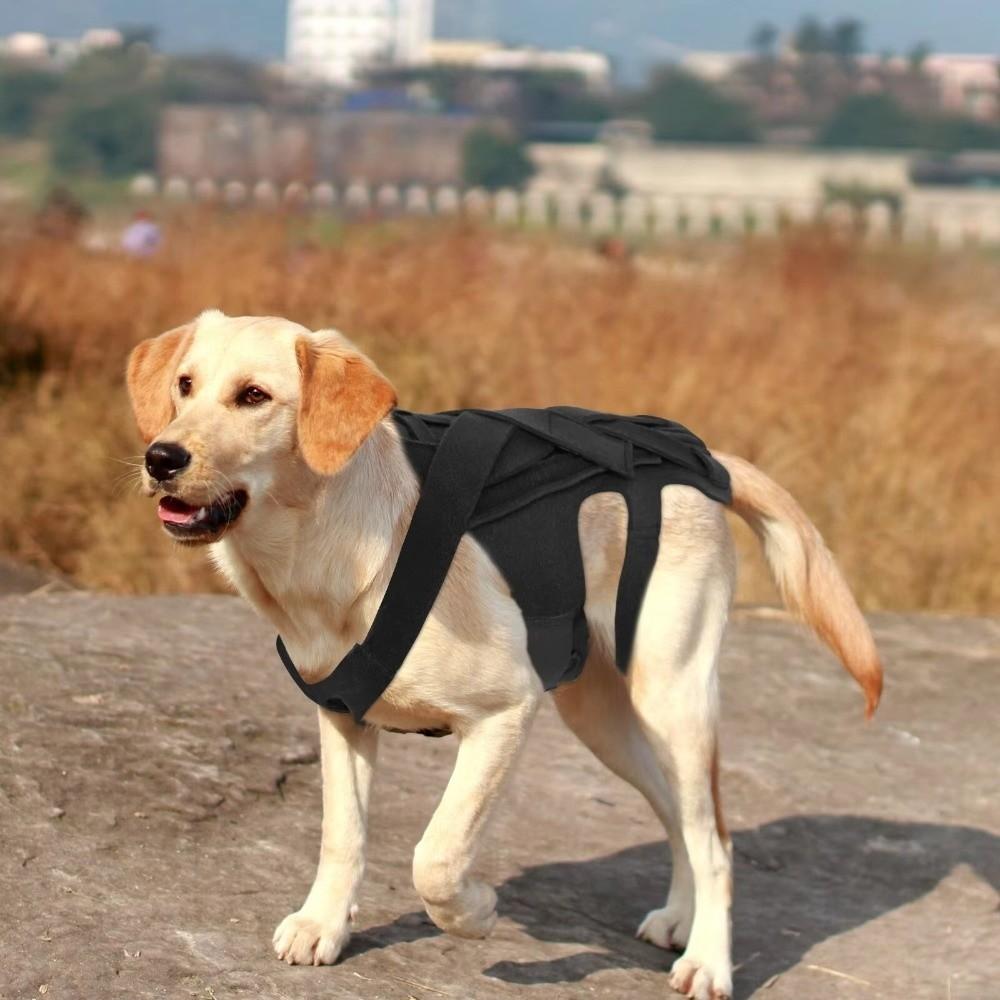 Aparat respiratoriu pentru mobilitatea animalelor de companie Suport confortabil pentru spatele câinelui Ham de suport pentru animale de companie Suport auxiliar