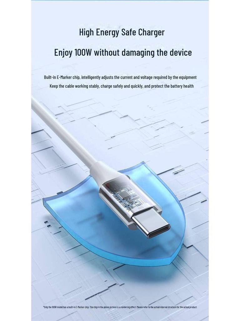 PISEN Dual-Head Type-C Charging Cable for iPhone 15 Pro Max & iPad Pro